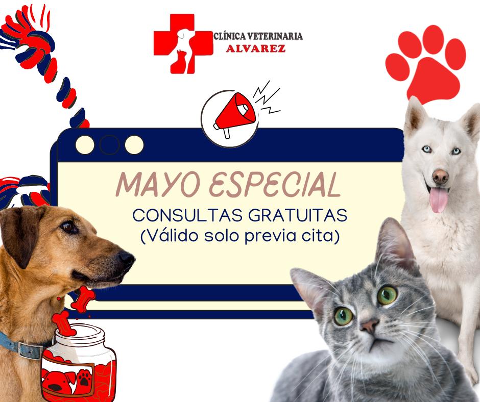 Promoción — Clínica Veterinaria Alvarez