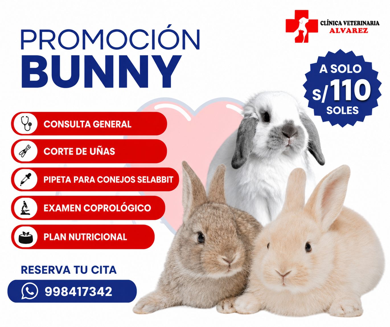 Promoción — Clínica Veterinaria Alvarez