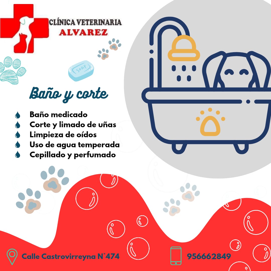 Baño y corte — Clínica Veterinaria Alvarez